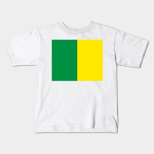 County Kerry Green & Gold Half design Kids T-Shirt